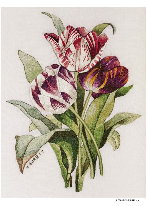 Redouté's Tulips - i100 Print - Inspirations Studios