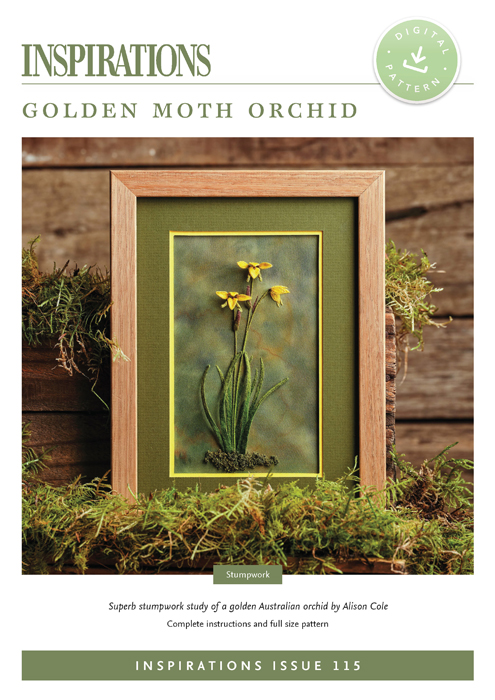 Golden Moth Orchid - i115 Digital