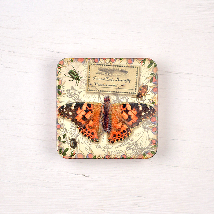 Vintage Butterflies Tin - Painted Lady Butterfly