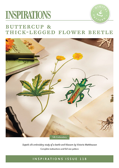Buttercup & Thick-legged Flower Beetle - i118 Digital