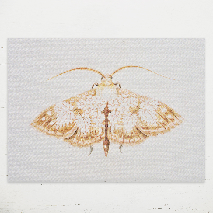 Printed Fabric Panel - Avonlea Moth